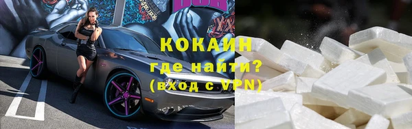 дурь Бородино