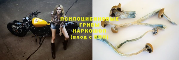 a pvp Бугульма
