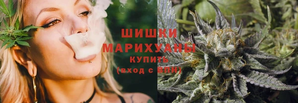 дурь Бородино
