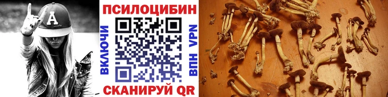 Галлюциногенные грибы GOLDEN TEACHER  Рубцовск 